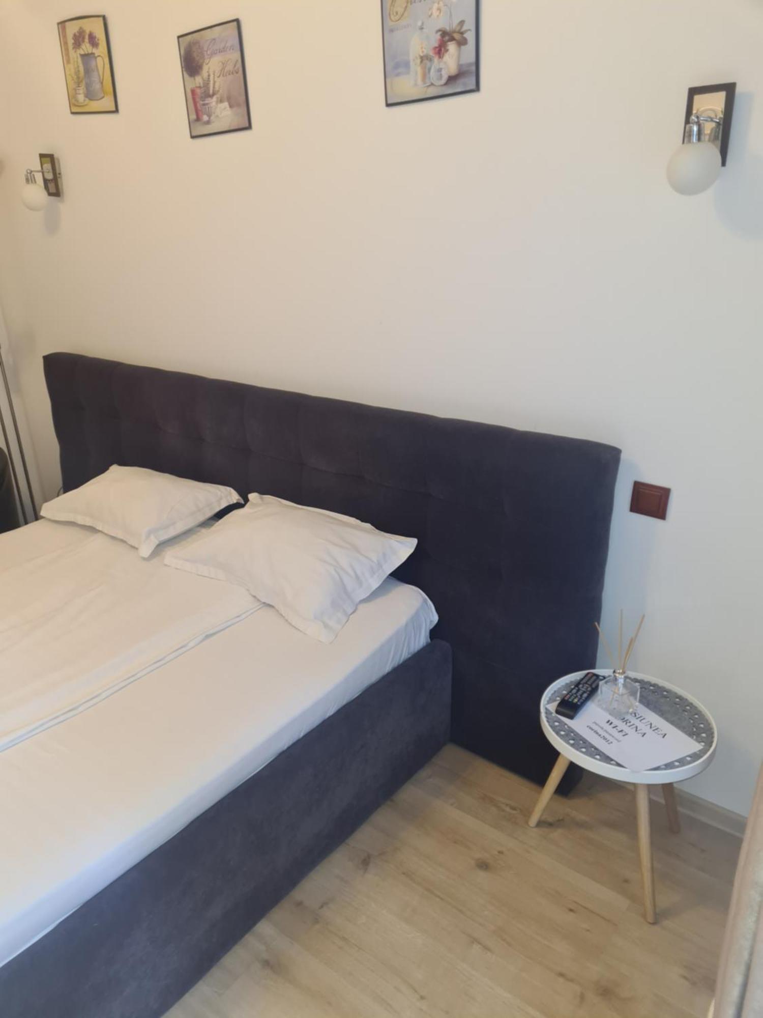 Pensiunea Corina Boutique Craiova Bagian luar foto
